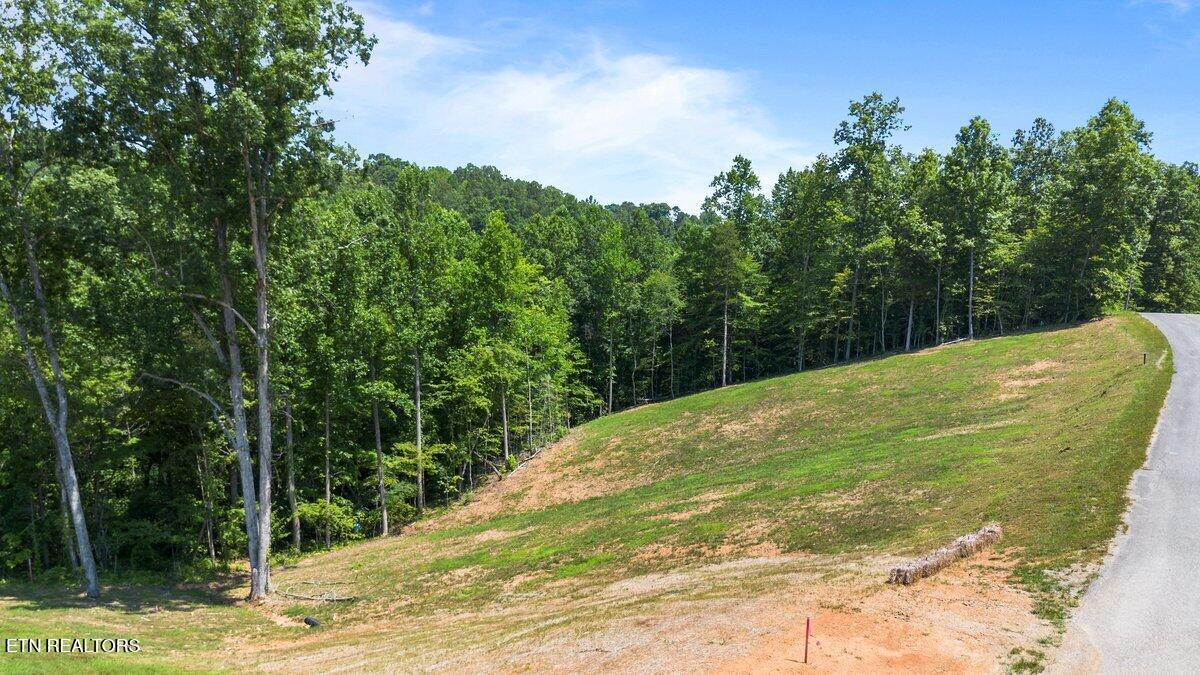 Lot 2 Cove Pointe Road La Follette, TN 37766 - Photo 3 of 5 Land 9