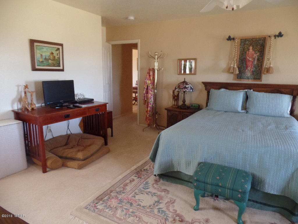 44 Acr 5270 Concho, AZ 85924 - Photo 13 of 47