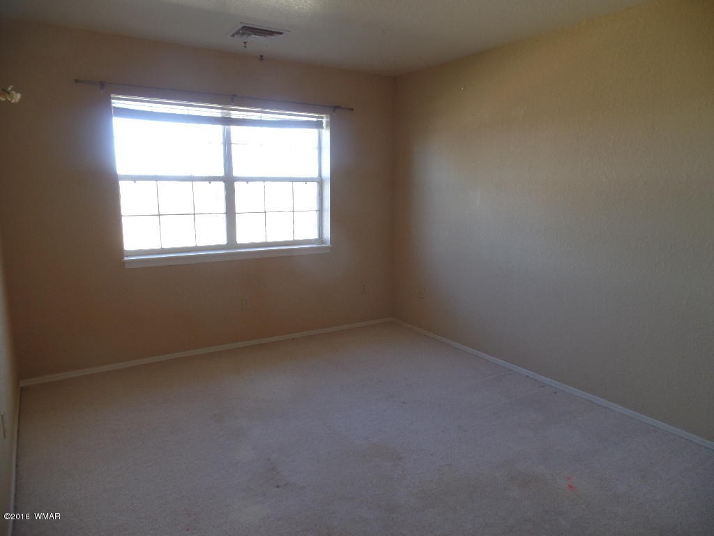 44 Acr 5270 Concho, AZ 85924 - Photo 18 of 47