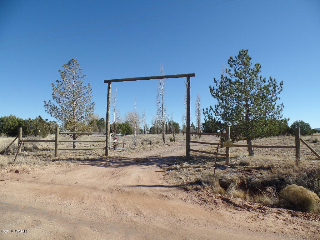 44 Acr 5270 Concho, AZ 85924 - Photo 3 of 47