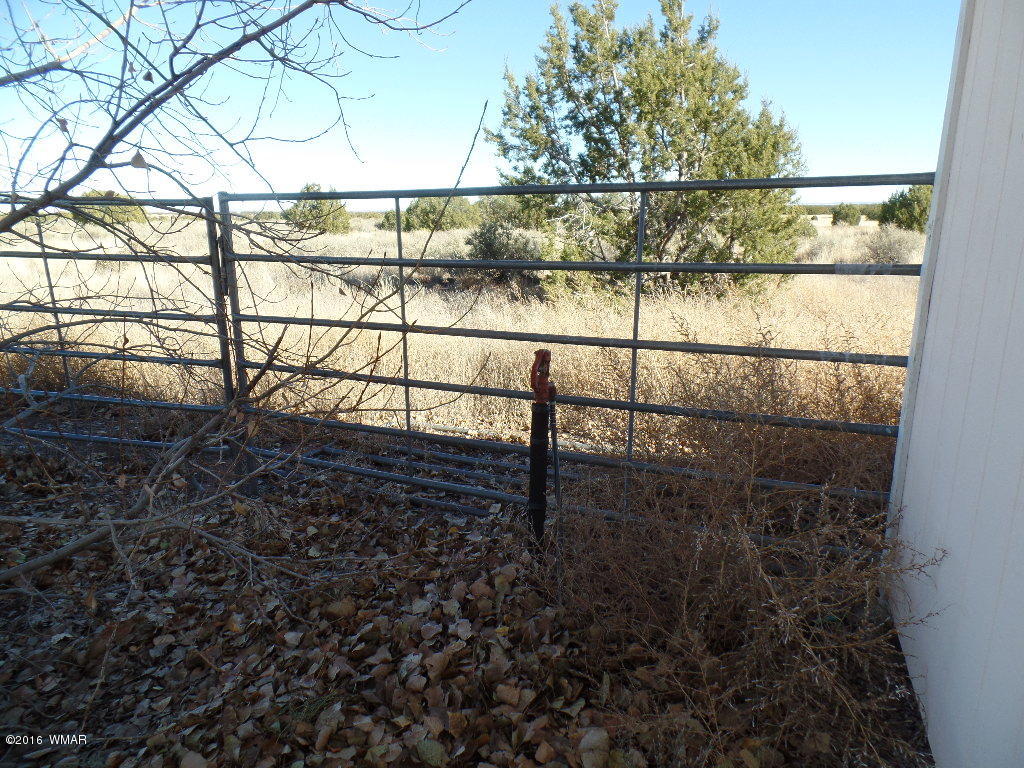 44 Acr 5270 Concho, AZ 85924 - Photo 34 of 47