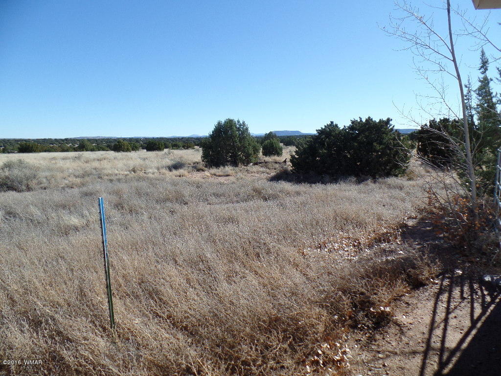 44 Acr 5270 Concho, AZ 85924 - Photo 35 of 47