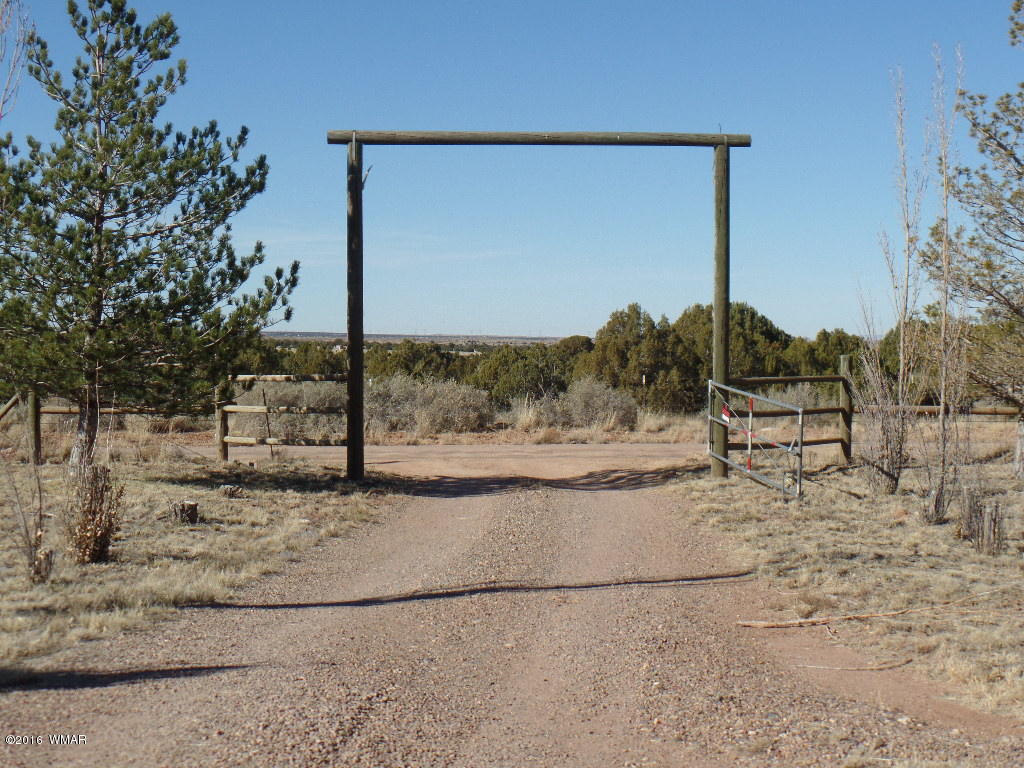 44 Acr 5270 Concho, AZ 85924 - Photo 45 of 47