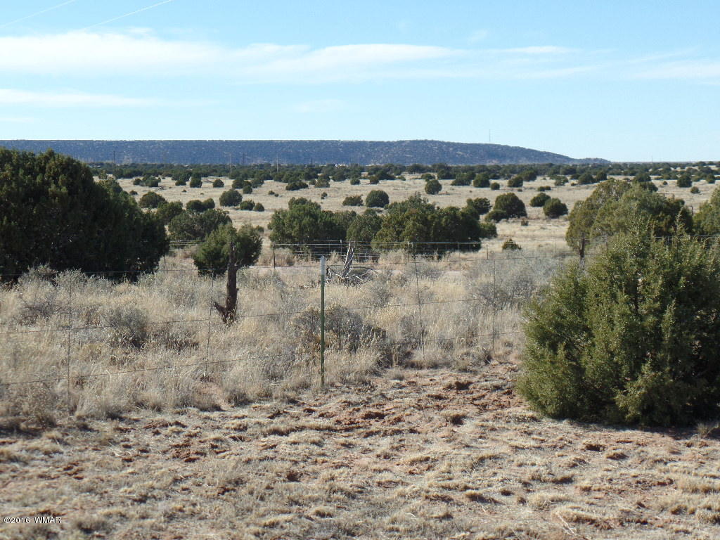 44 Acr 5270 Concho, AZ 85924 - Photo 46 of 47