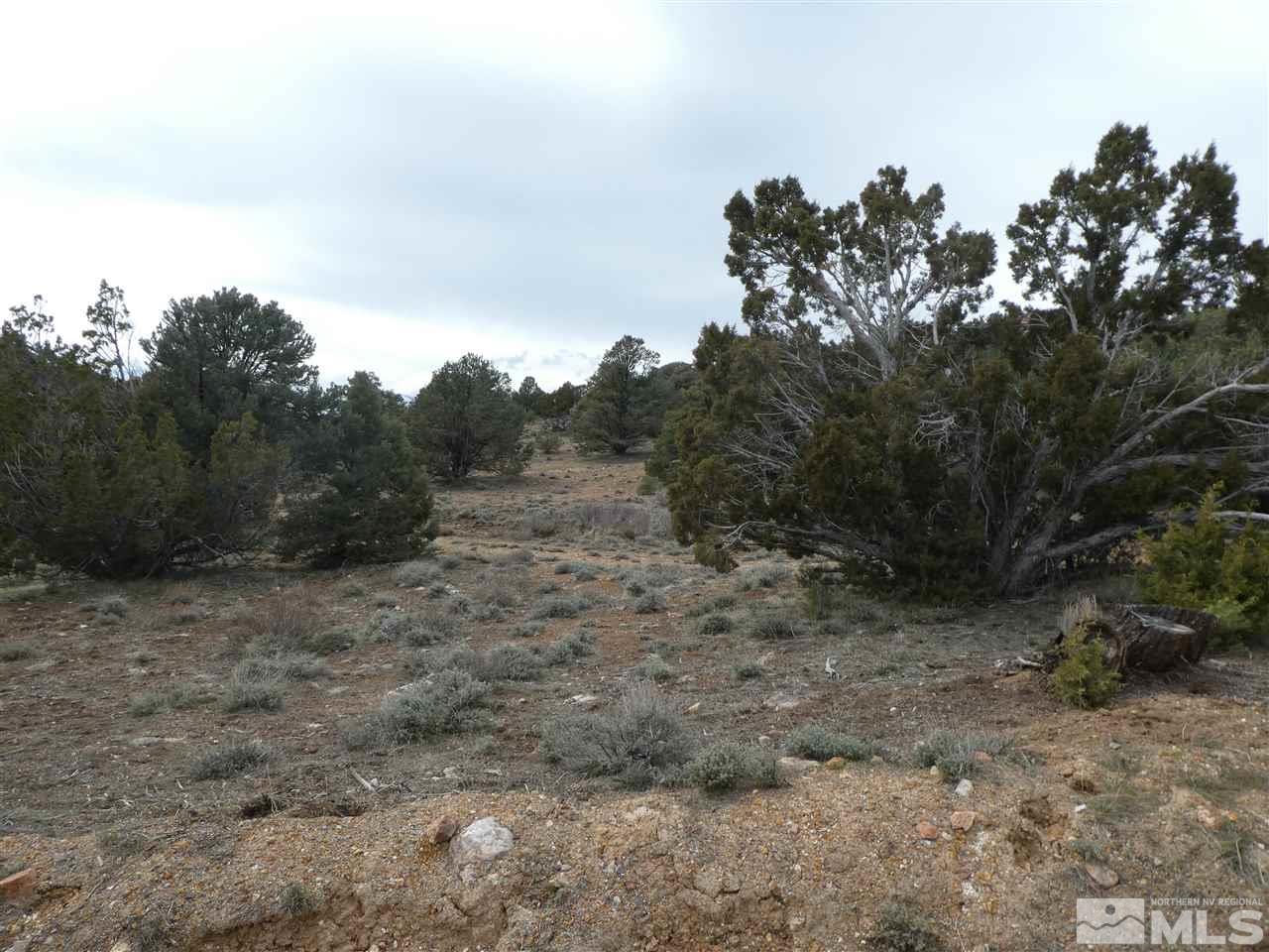 233 South Virginia Street Reno, NV 89501 - Photo 1 of 1 a view of a dry yard with trees