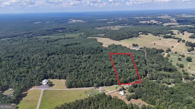 4 Bunch Road Tignall, GA 30668 - Photo 28 of 29 a view of a city