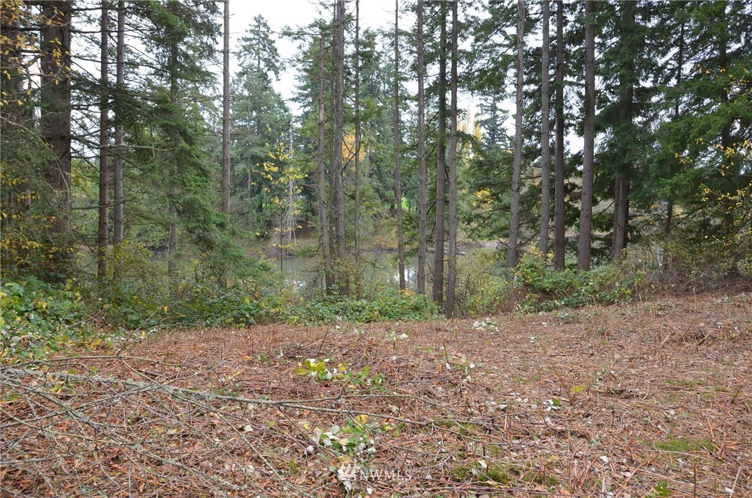 0 Nevins Road Blaine, WA 98230 - Photo 5 of 10 Gallery Image 5