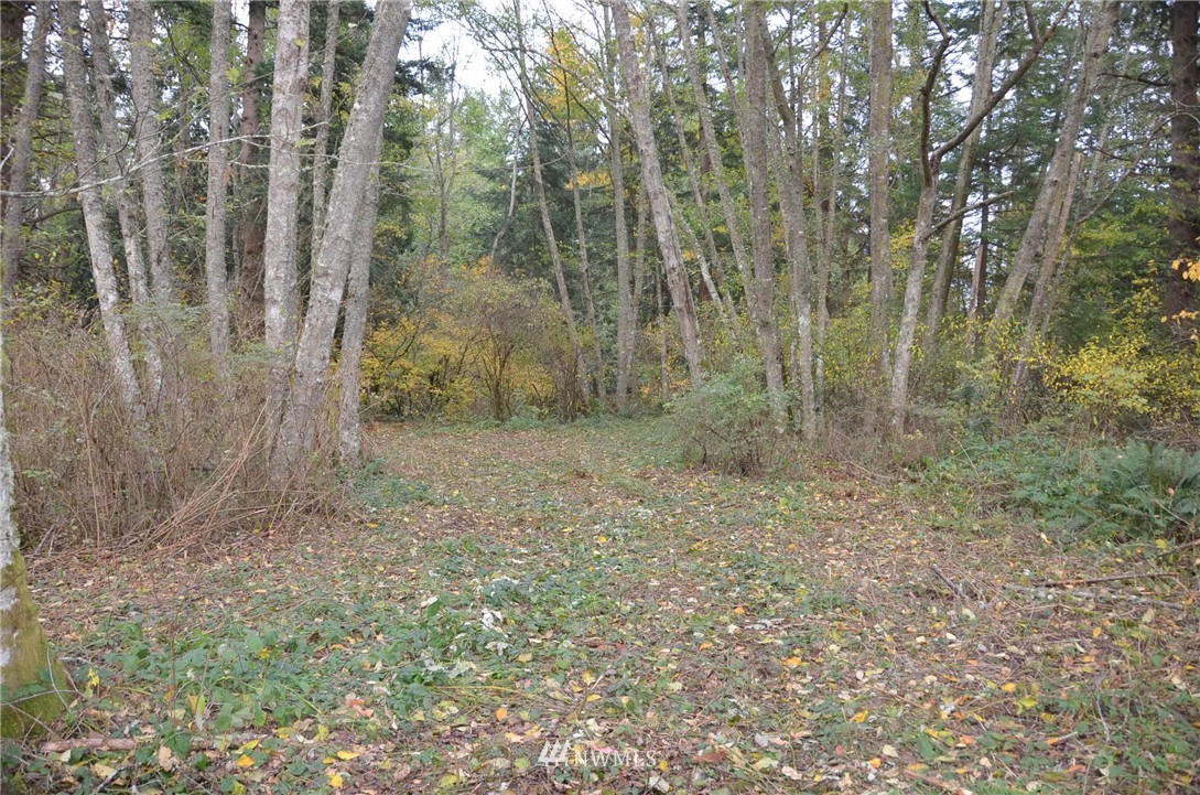 0 Nevins Road Blaine, WA 98230 - Photo 6 of 10 Gallery Image 6