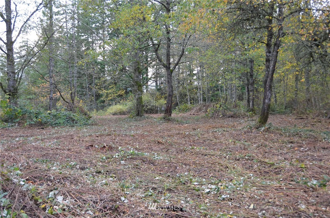 0 Nevins Road Blaine, WA 98230 - Photo 7 of 10 Gallery Image 7