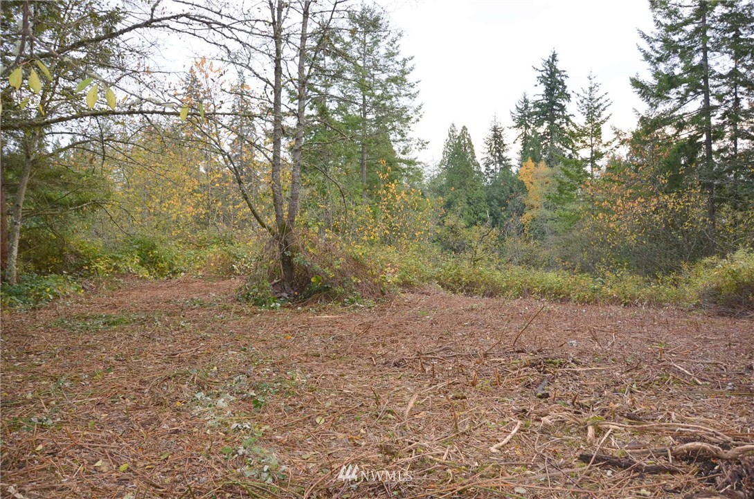 0 Nevins Road Blaine, WA 98230 - Photo 9 of 10 Gallery Image 9