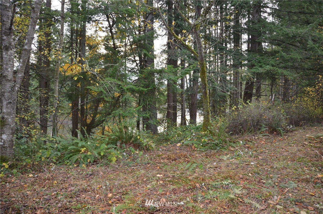 0 Nevins Road Blaine, WA 98230 - Photo 10 of 10 Gallery Image 10