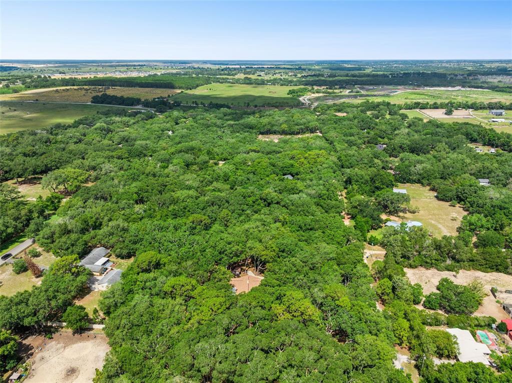 17056 Red Bird Road Winter Garden, FL 34787 - Photo 31 of 35