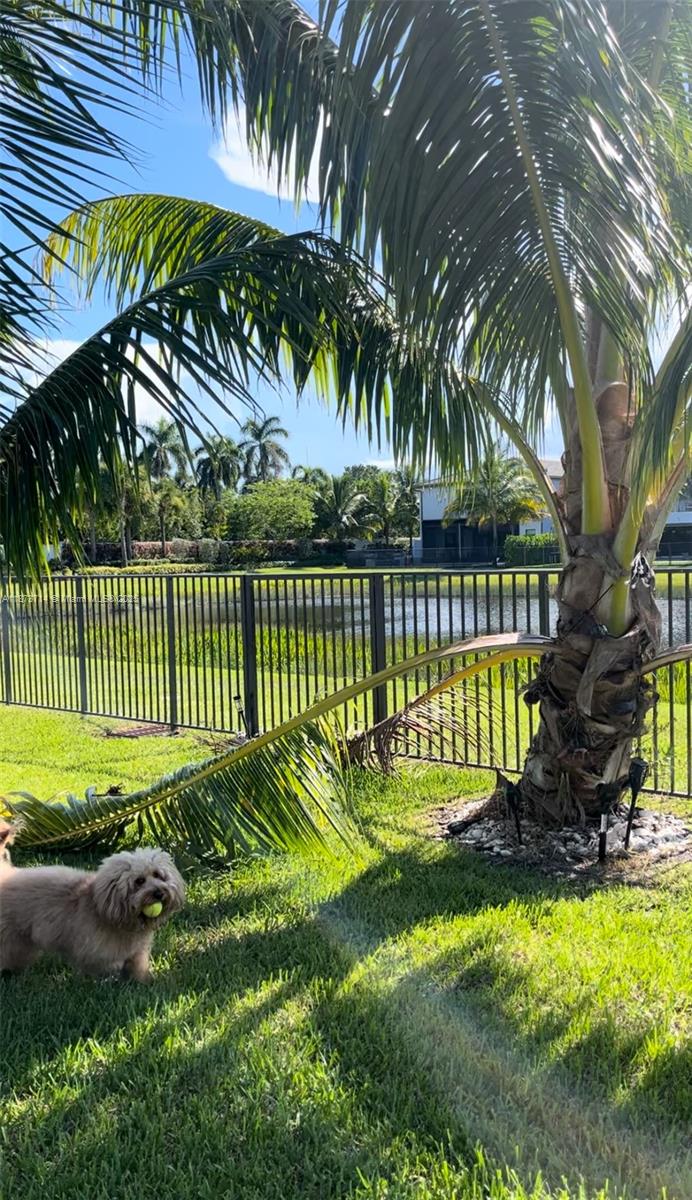 17267 Windy Pointe Lane Boca Raton, FL 33496 - Photo 23 of 47 a view of a park with a palm trees