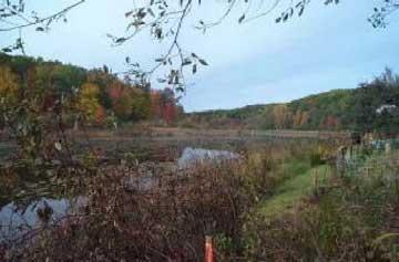 5386 Old Dam Road Newaygo, MI 49337 - Photo 3 of 4 Additional Photo