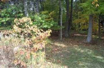 5386 Old Dam Road Newaygo, MI 49337 - Photo 4 of 4 Additional Photo