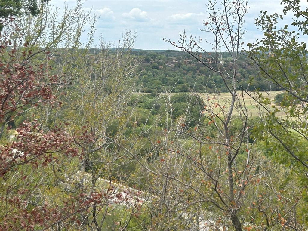 16 North N Loop Graford, TX 76449 - Photo 12 of 19 a view of a dry yard with trees