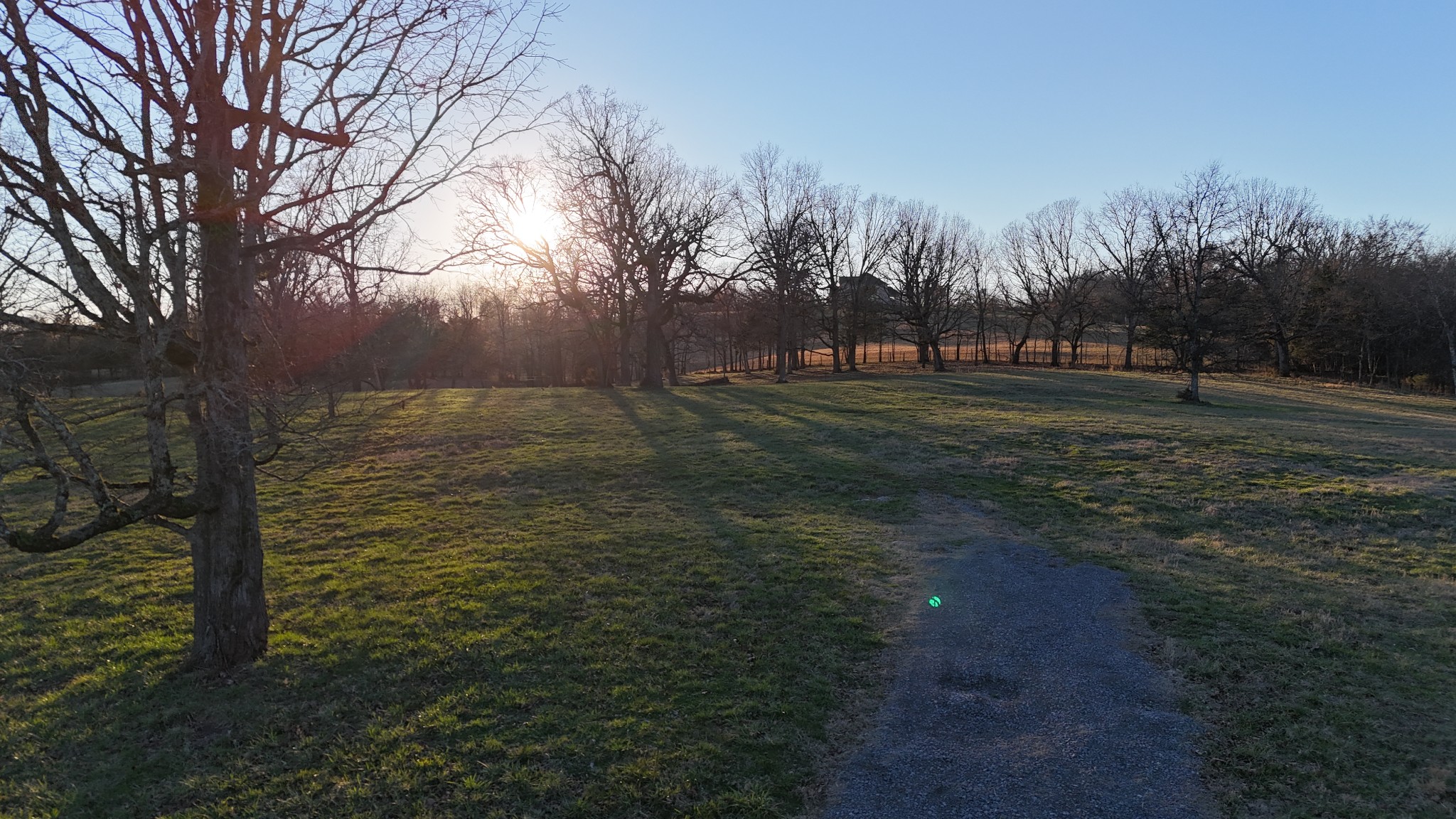 4887 Vincion Road Murfreesboro, TN 37130 - Photo 12 of 13