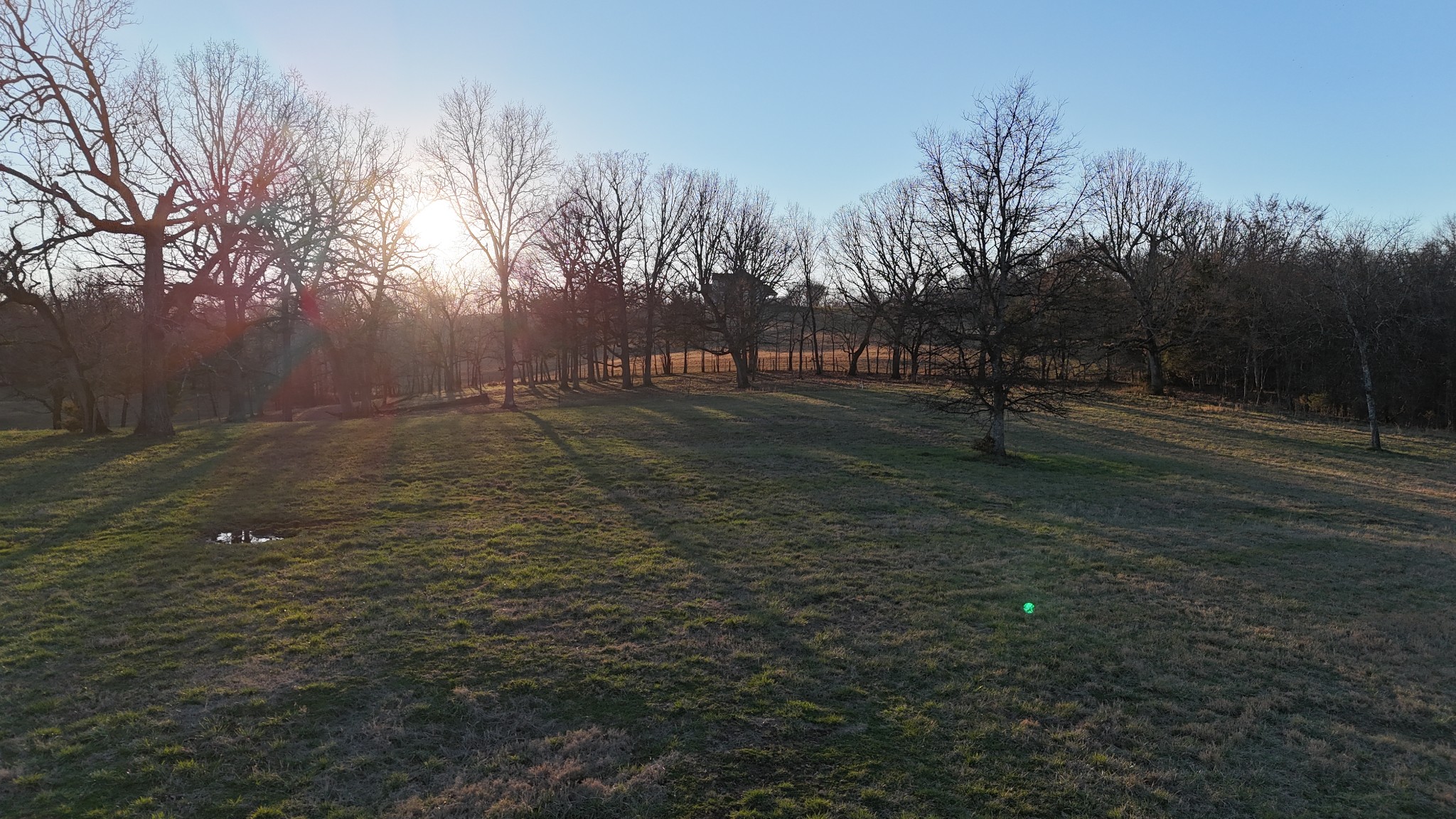 4887 Vincion Road Murfreesboro, TN 37130 - Photo 10 of 13