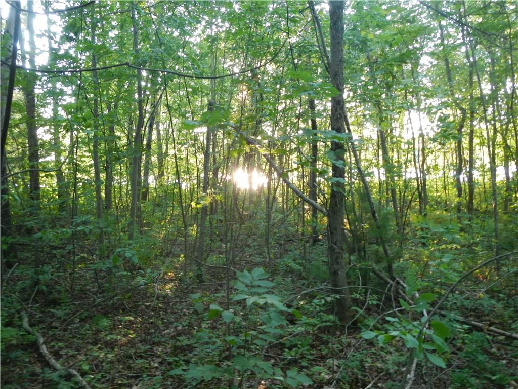 420 2nd Route Winn, ME 04495 - Photo 20 of 21 Photo