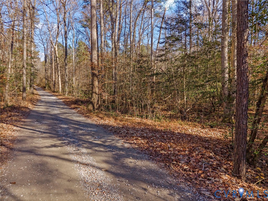 a view of a yard with trees