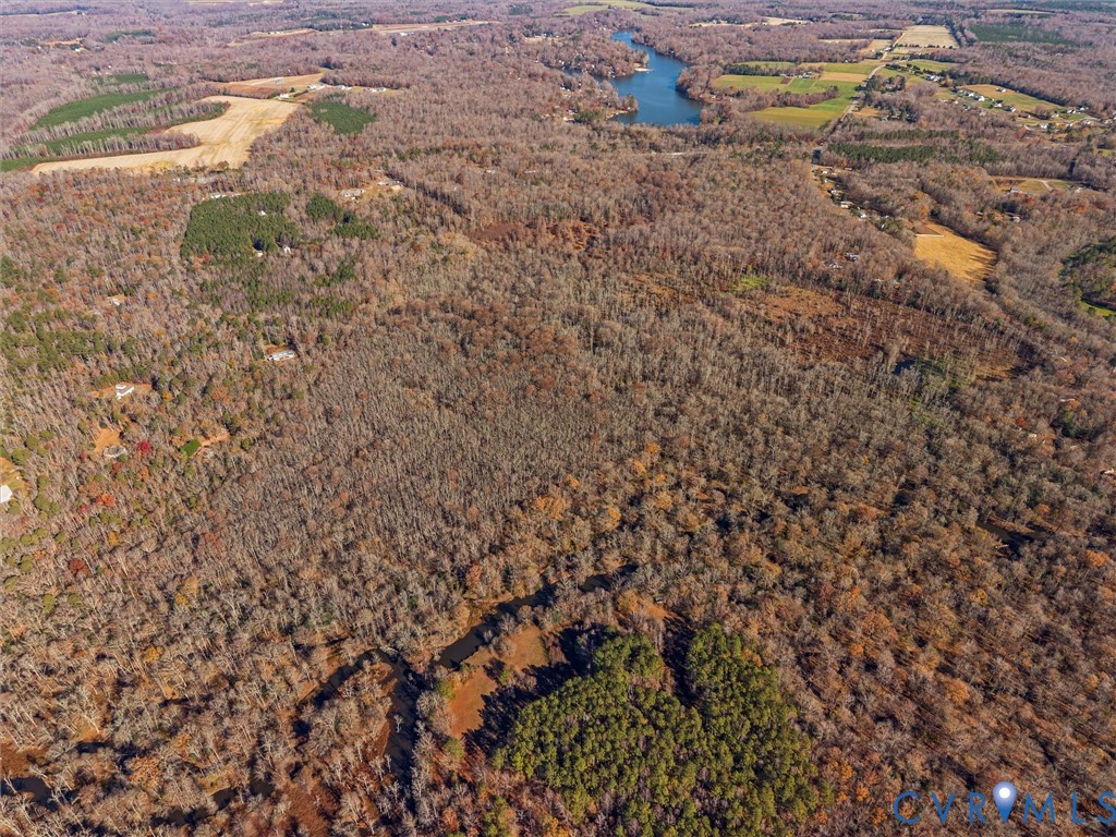 58-xx Toe Ink Terrace Quinton, VA 23141 - Photo 13 of 16 a close up of a plant in a field