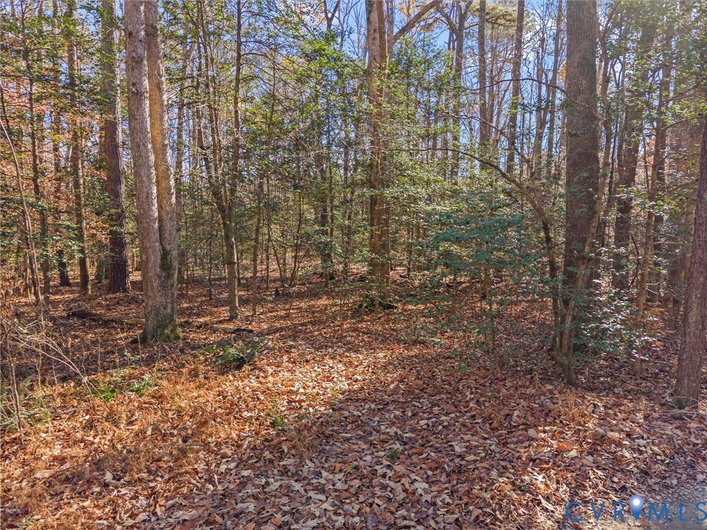 58-xx Toe Ink Terrace Quinton, VA 23141 - Photo 3 of 16 a view of a yard with plants and trees