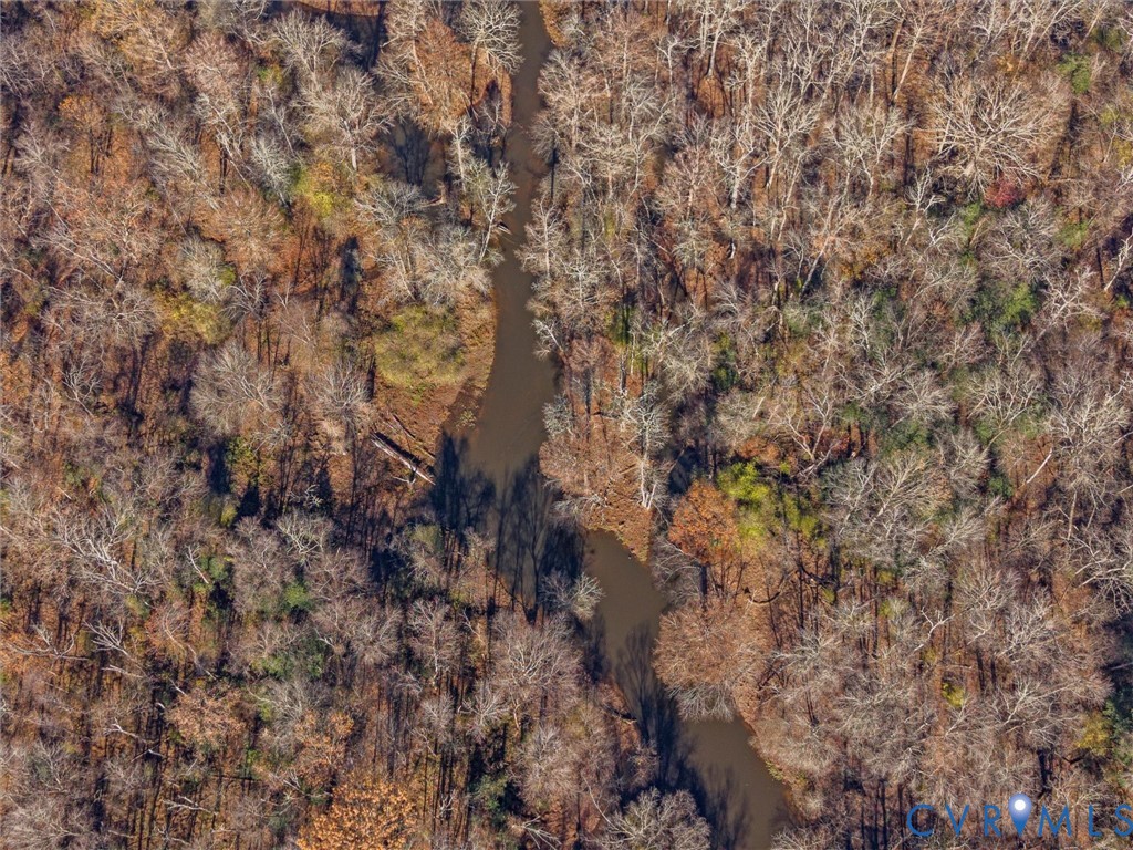 58-xx Toe Ink Terrace Quinton, VA 23141 - Photo 10 of 16 a view of a forest with a tree