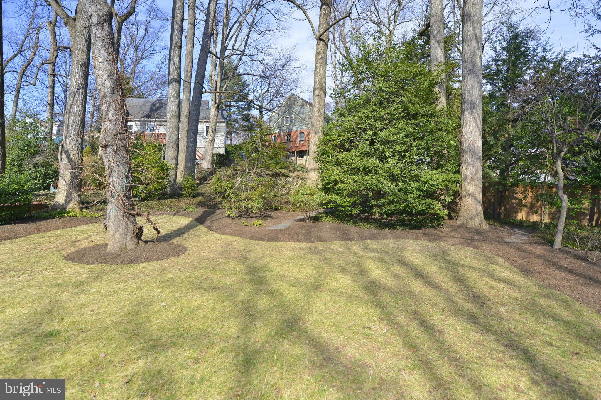 307 Hamilton Avenue Silver Spring, MD 20901 - Photo 25 of 30 Exterior (Rear)