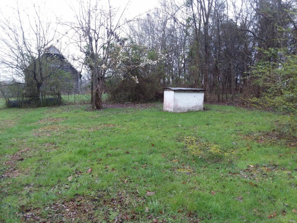 745 Concord Road Mohawk, TN 37810 - Photo 16 of 24 spring house
