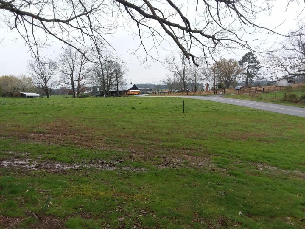 745 Concord Road Mohawk, TN 37810 - Photo 21 of 24 other side of property
