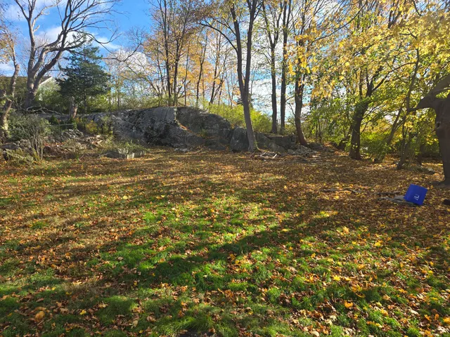 a backyard of a house with lots of green space