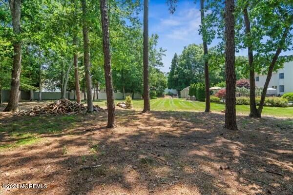 19 Popper Street Manahawkin, NJ 08050 - Photo 36 of 53 a view of a yard with tree s