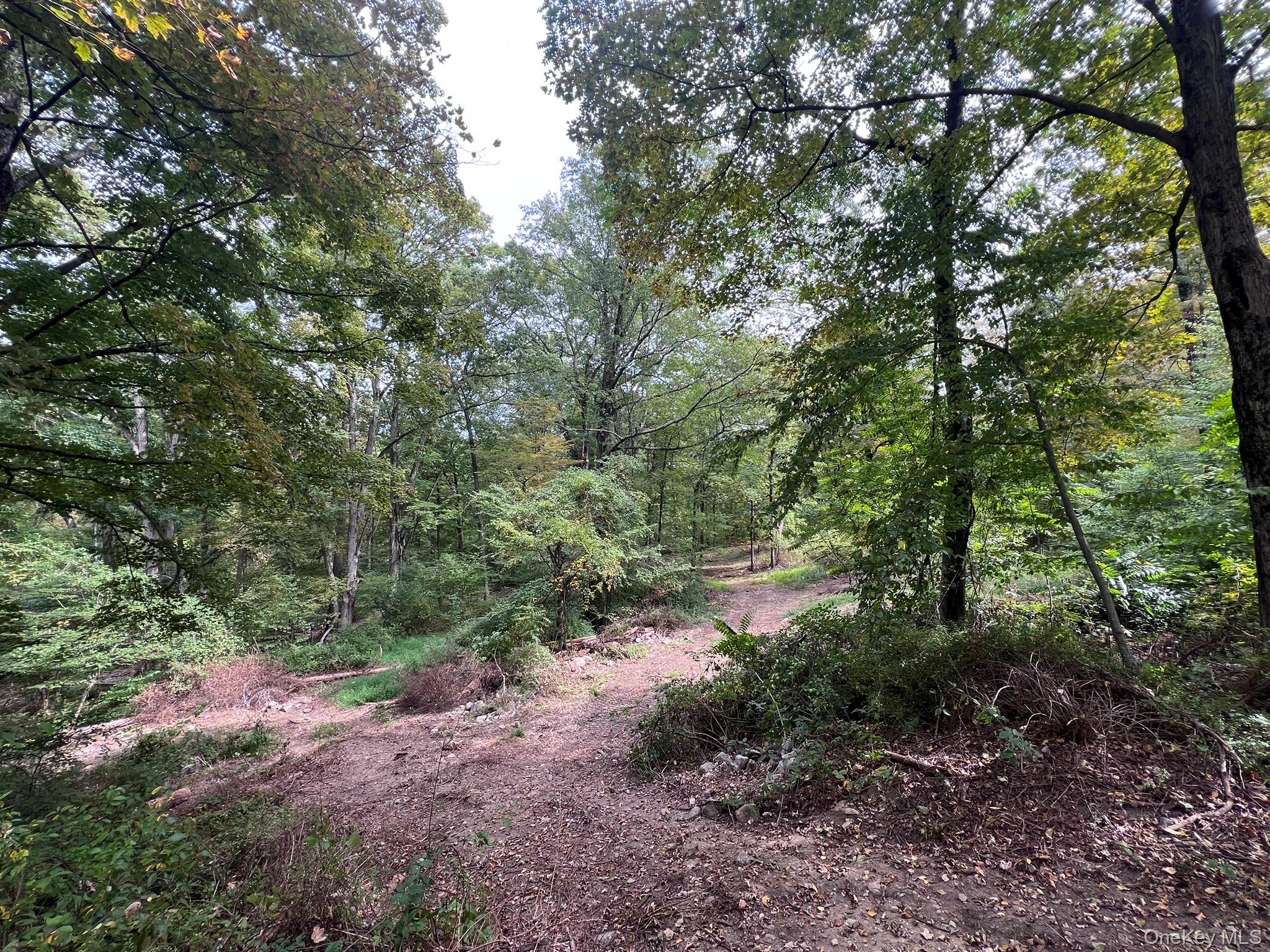 1004 Old Albany Post Road Garrison, NY 10524 - Photo 2 of 5 General Building Site