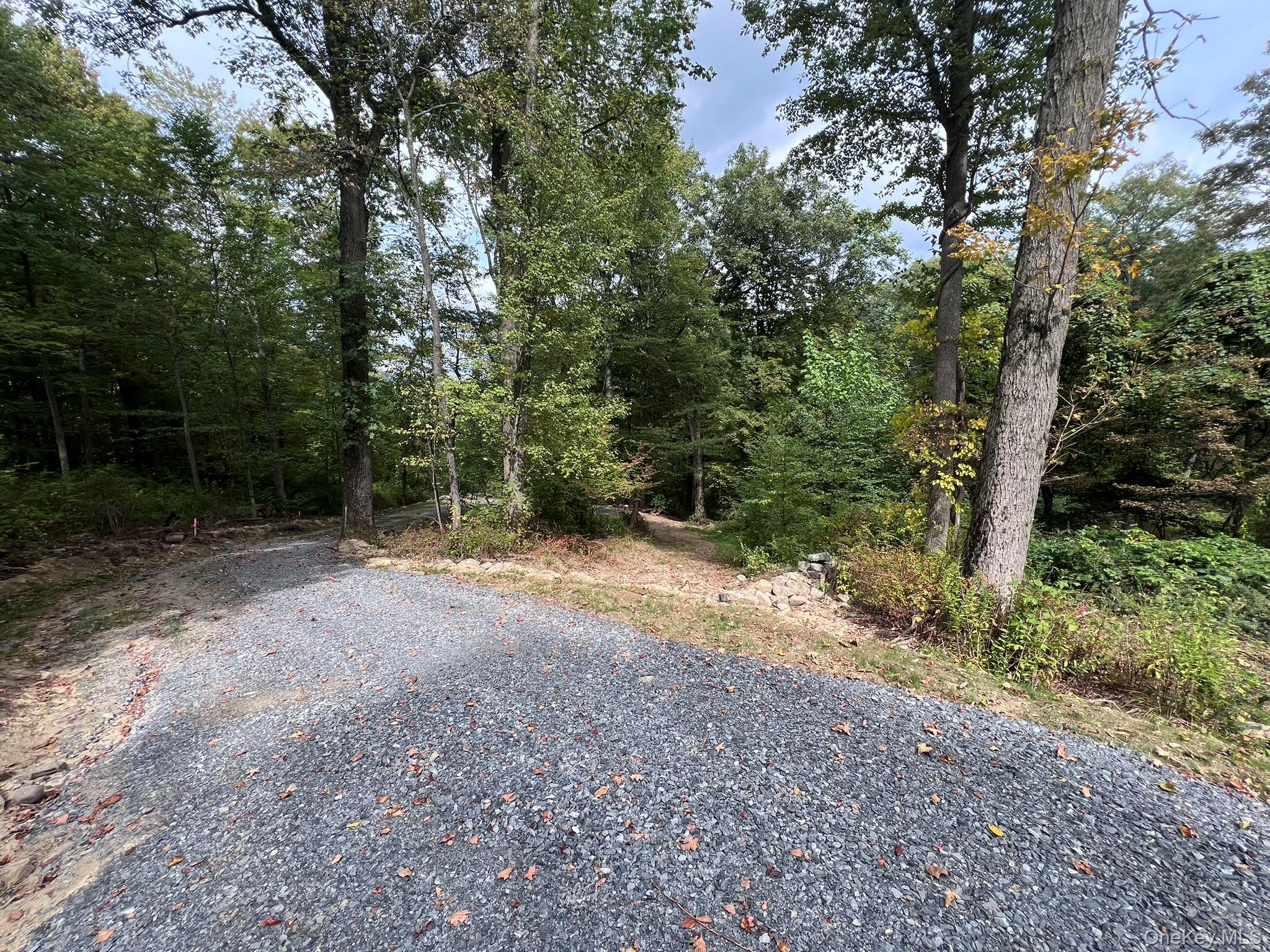 1004 Old Albany Post Road Garrison, NY 10524 - Photo 5 of 5 Sloping Wooded Lot