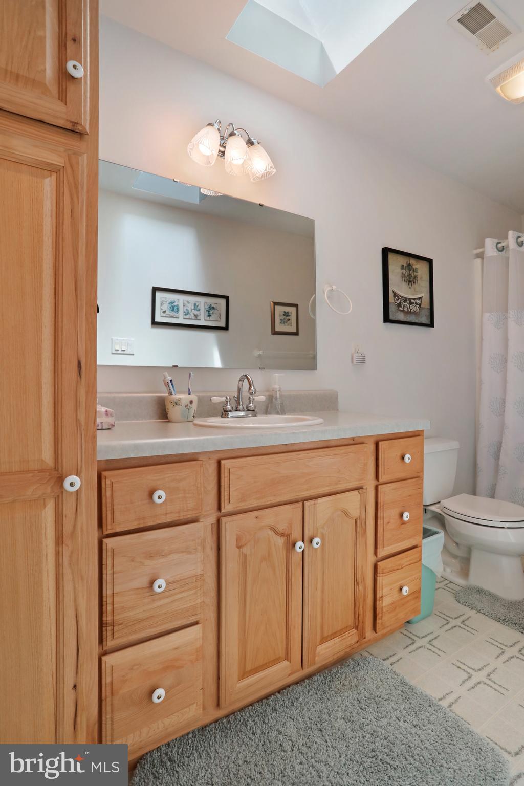 11490 Rhapsody Road Greencastle, PA 17225 - Photo 19 of 30 Upstairs bathroom with plenty of storage and space