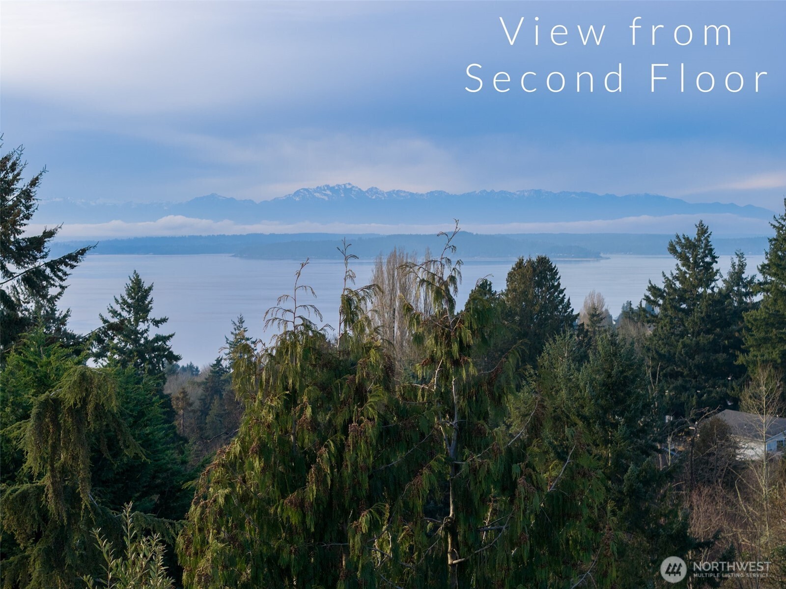 7233 36th Avenue Southwest Seattle, WA 98126 - Photo 32 of 40