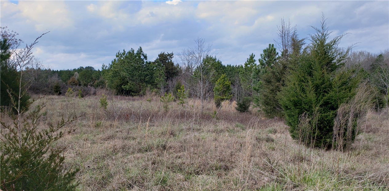 0 Drucker Ridge Anderson, SC 29625 - Photo 1 of 1