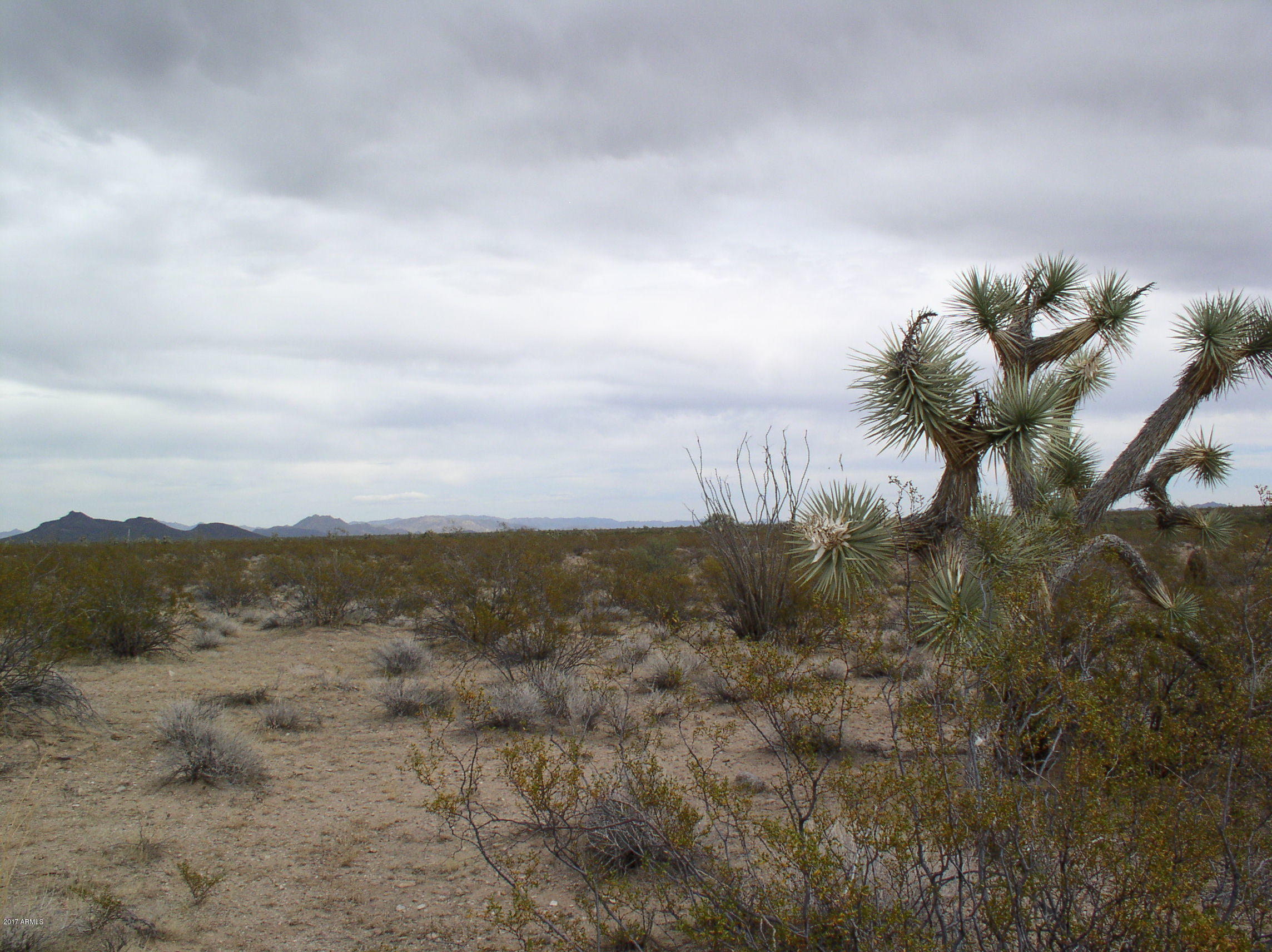 0 Alamo Springs Road Yucca, AZ 86438 - Photo 8 of 12