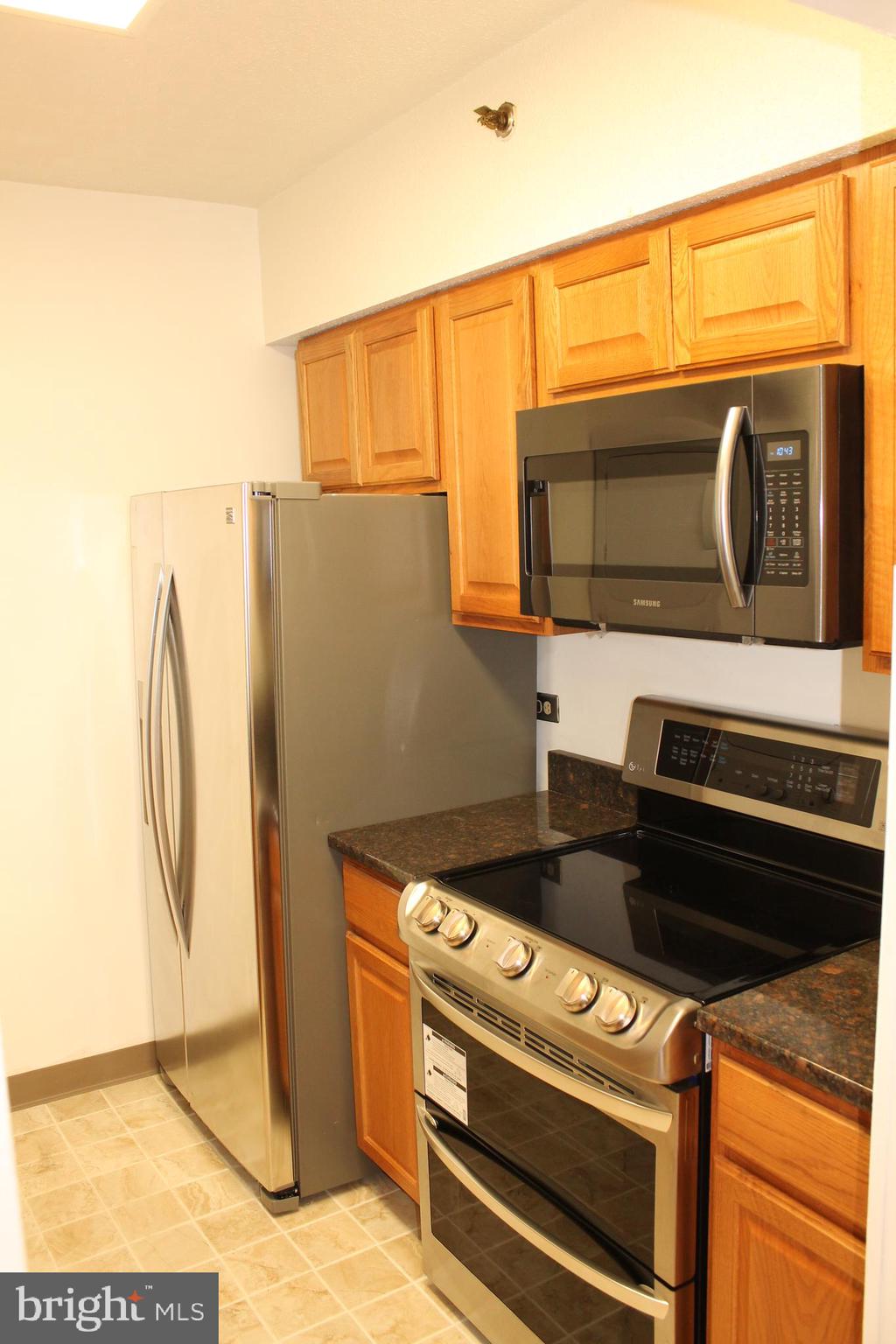 5505 Seminary Road, Unit 1209N Falls Church, VA 22041 - Photo 5 of 16