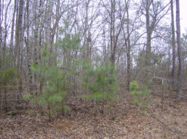 1998 Flint Road, Unit 261 Culloden, GA 31016 - Photo 2 of 5 Additional Photo
