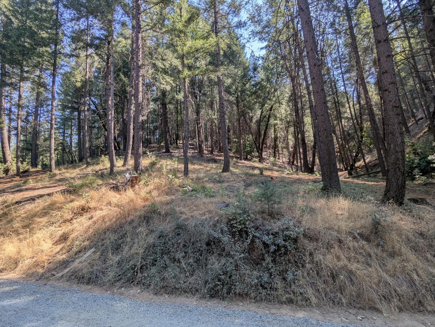 14295 Arrowhead Mine Road Grass Valley, CA 95945 - Photo 3 of 10 a view of outdoor space with trees