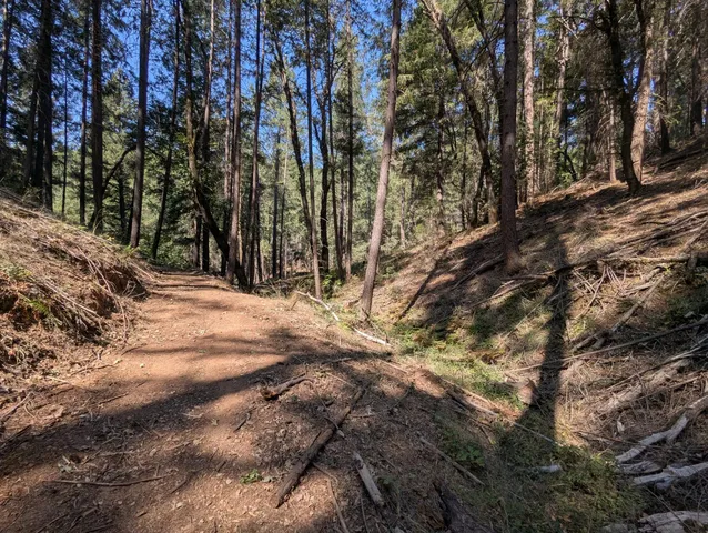 a view of outdoor space with trees