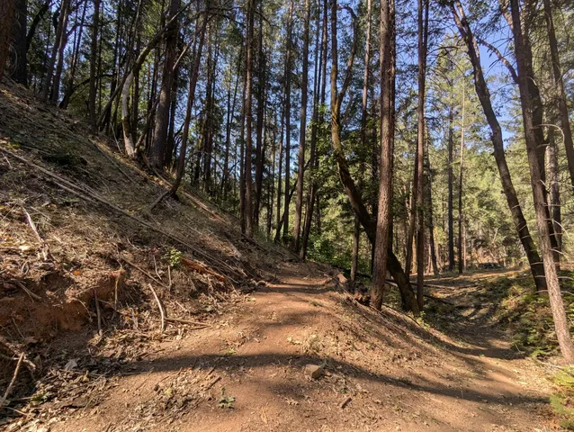 a view of a yard with wooden fence