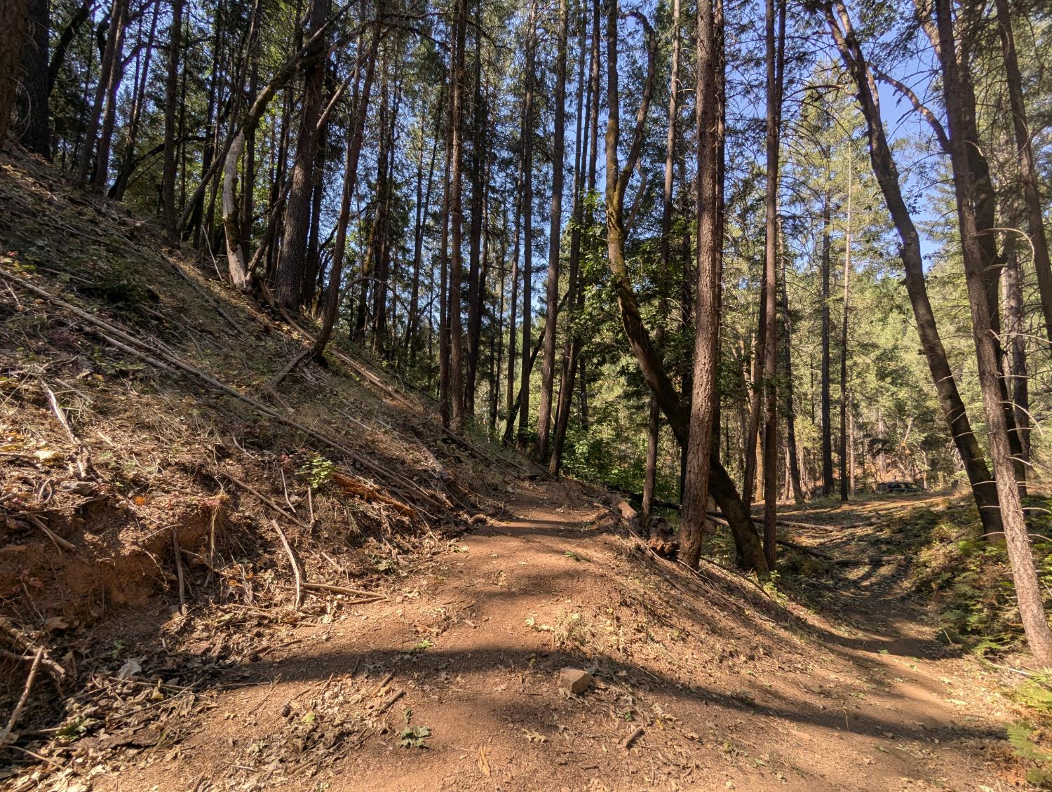 14295 Arrowhead Mine Road Grass Valley, CA 95945 - Photo 5 of 10 a view of a yard with wooden fence