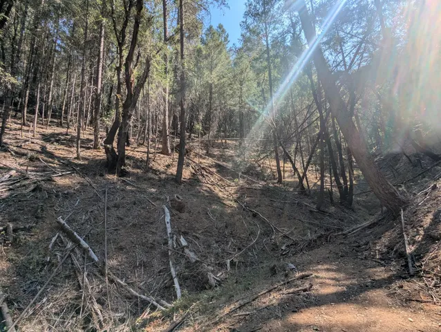 a backyard of a house with lots of green space
