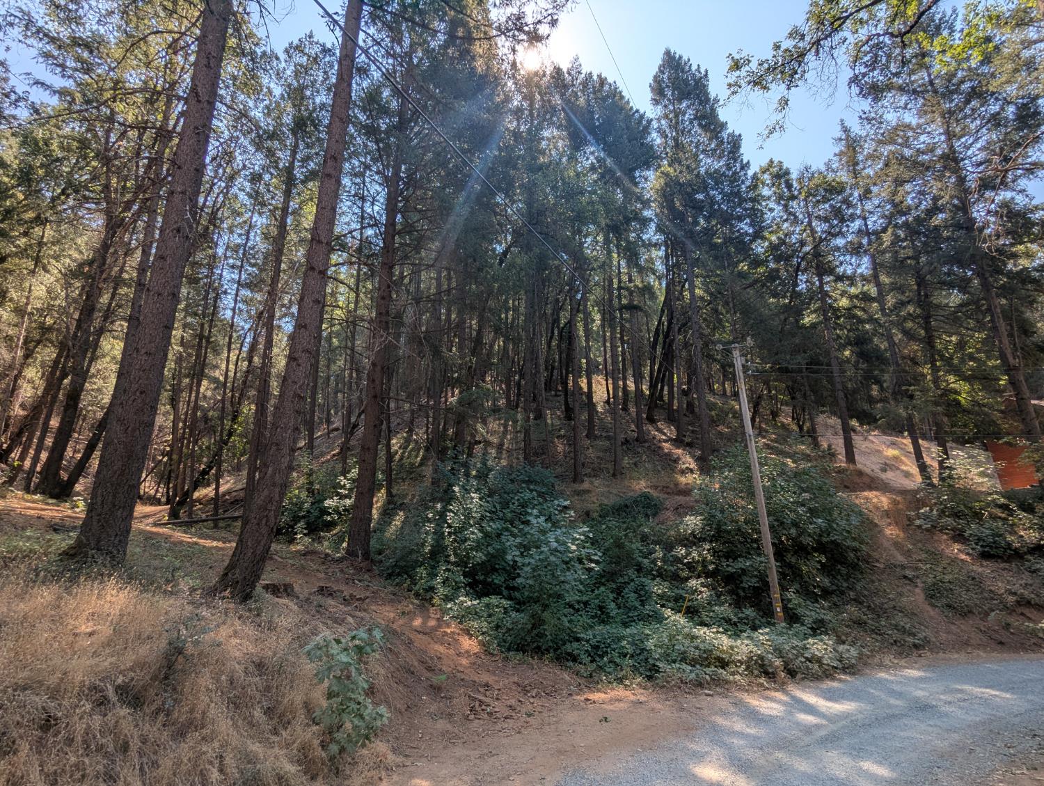 14295 Arrowhead Mine Road Grass Valley, CA 95945 - Photo 10 of 10 a view of outdoor space and trees