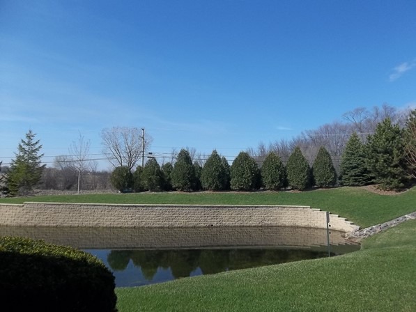 599 Dunham Road Gurnee, IL 60031 - Photo 8 of 10