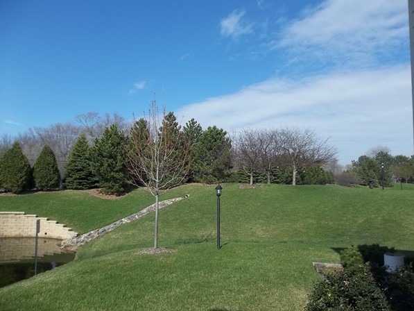 599 Dunham Road Gurnee, IL 60031 - Photo 9 of 10