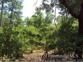 1025 Line Road Cameron, NC 28326 - Photo 5 of 8 a view of a field