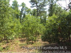 1025 Line Road Cameron, NC 28326 - Photo 6 of 8 a view of a field
